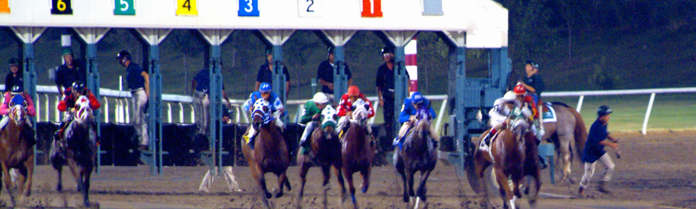 3 Horses racing on a track