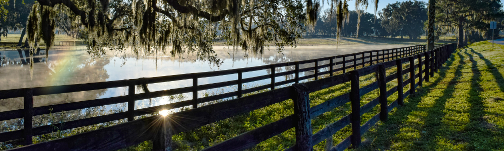 Market Pulse: Marion County & Surrounding Areas – May 2025 Snapshot