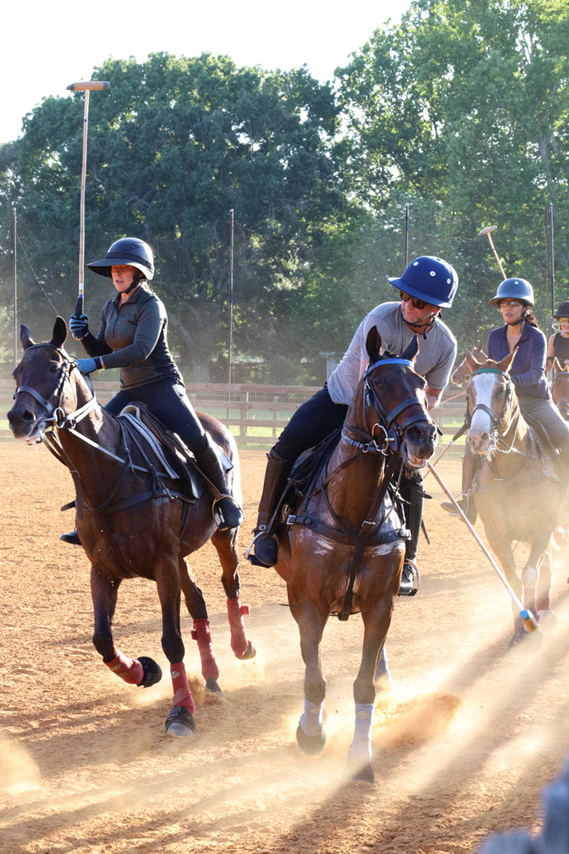 IMG_3226 Dana playing polo