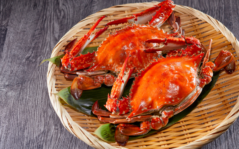 5X5 Autumn 2025 crabs in a basket