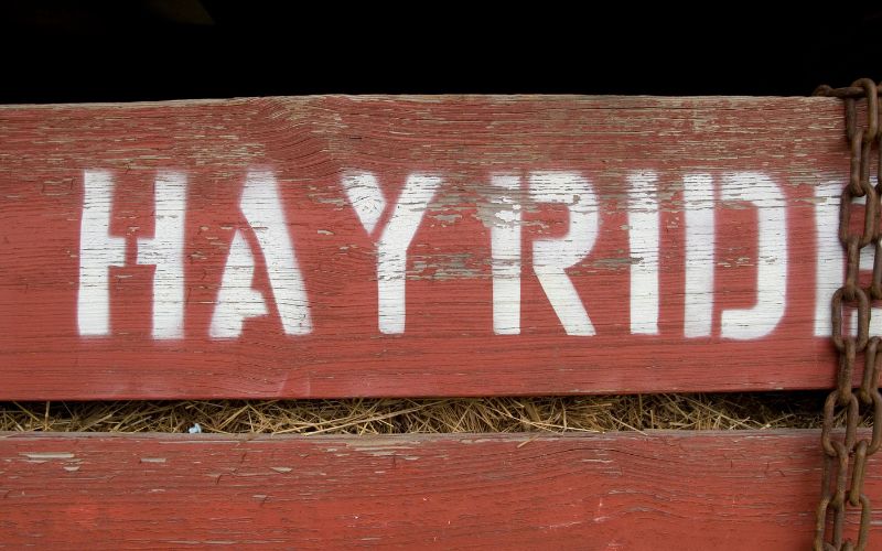 hayride a horse jumping