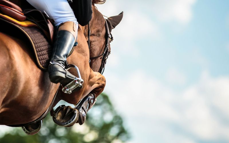 horsejumper a horse jumping