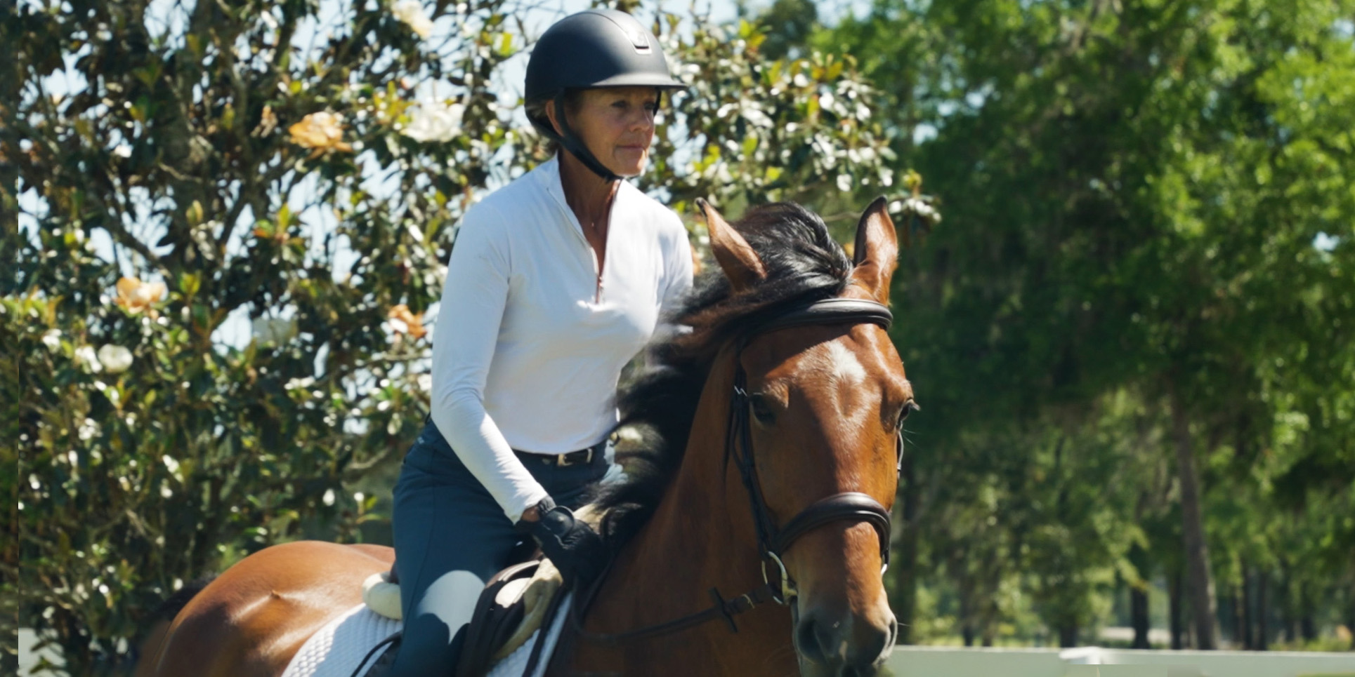 liz_gray_horse_4 Tina and Alysha Halsteter