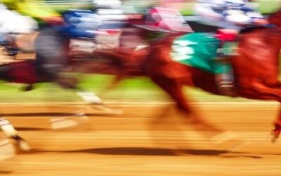 Kentucky Derby 2026 | Marion County Connections