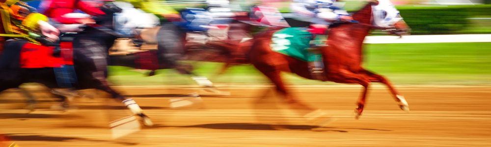 Kentucky Derby 2026 | Marion County Connections