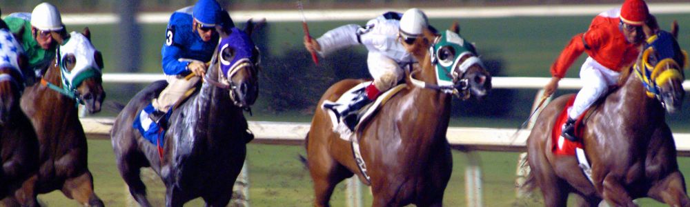 Kentucky Derby 2026 Marion County Connections